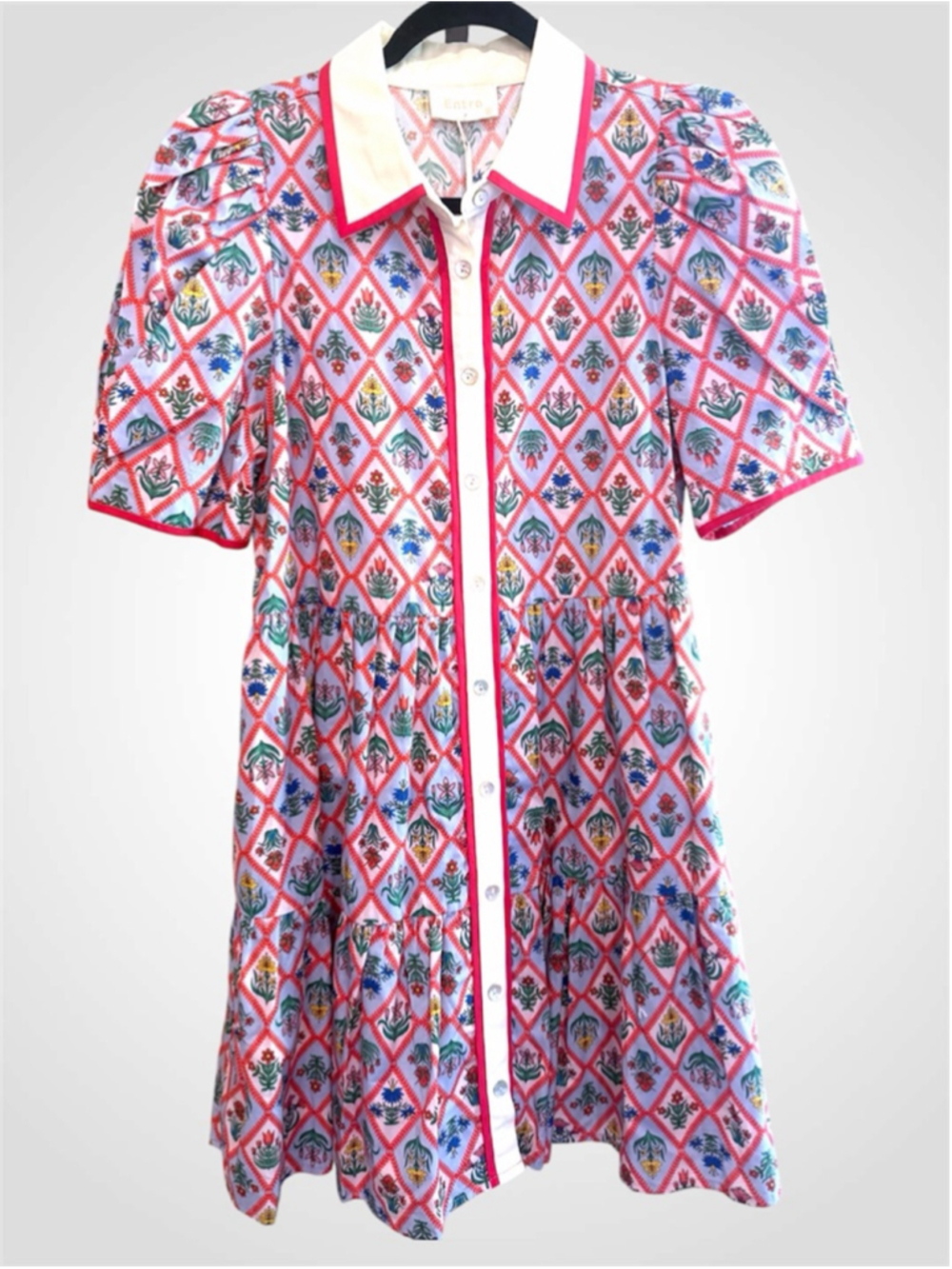 Entro Botanical Print Mini Dress in Red Size S